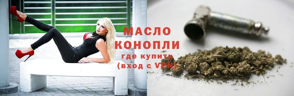 mix Богородицк