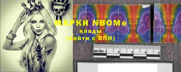 mix Богородицк